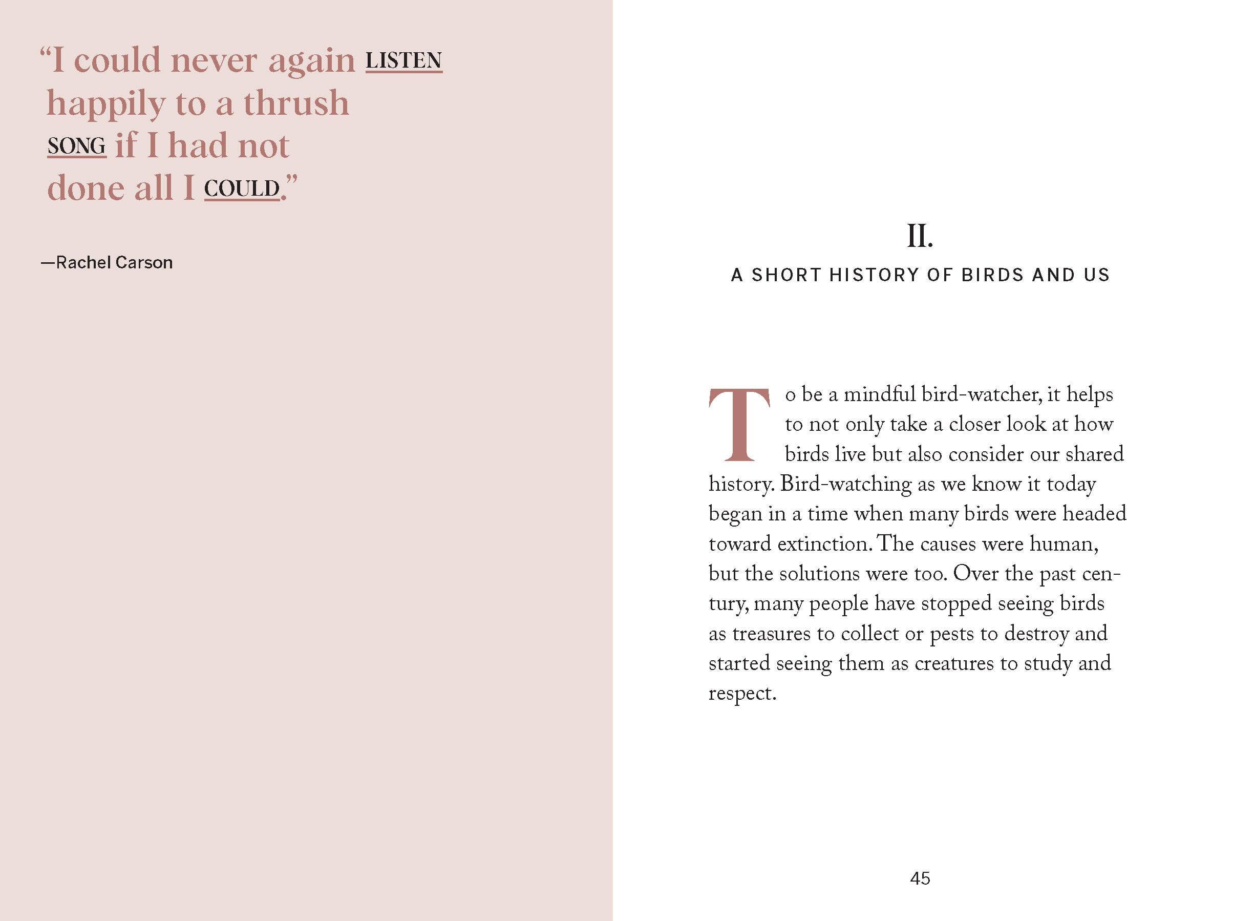 Pocket Nature: Bird-Watching