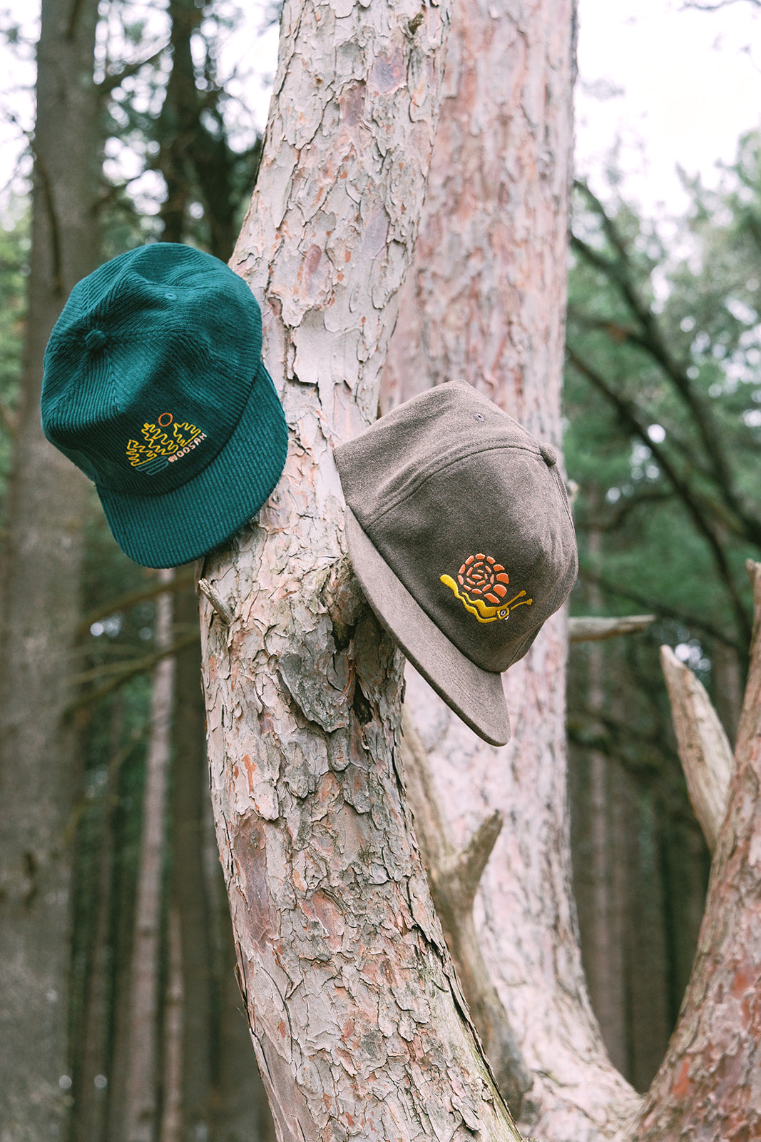 Snail Dad Hat