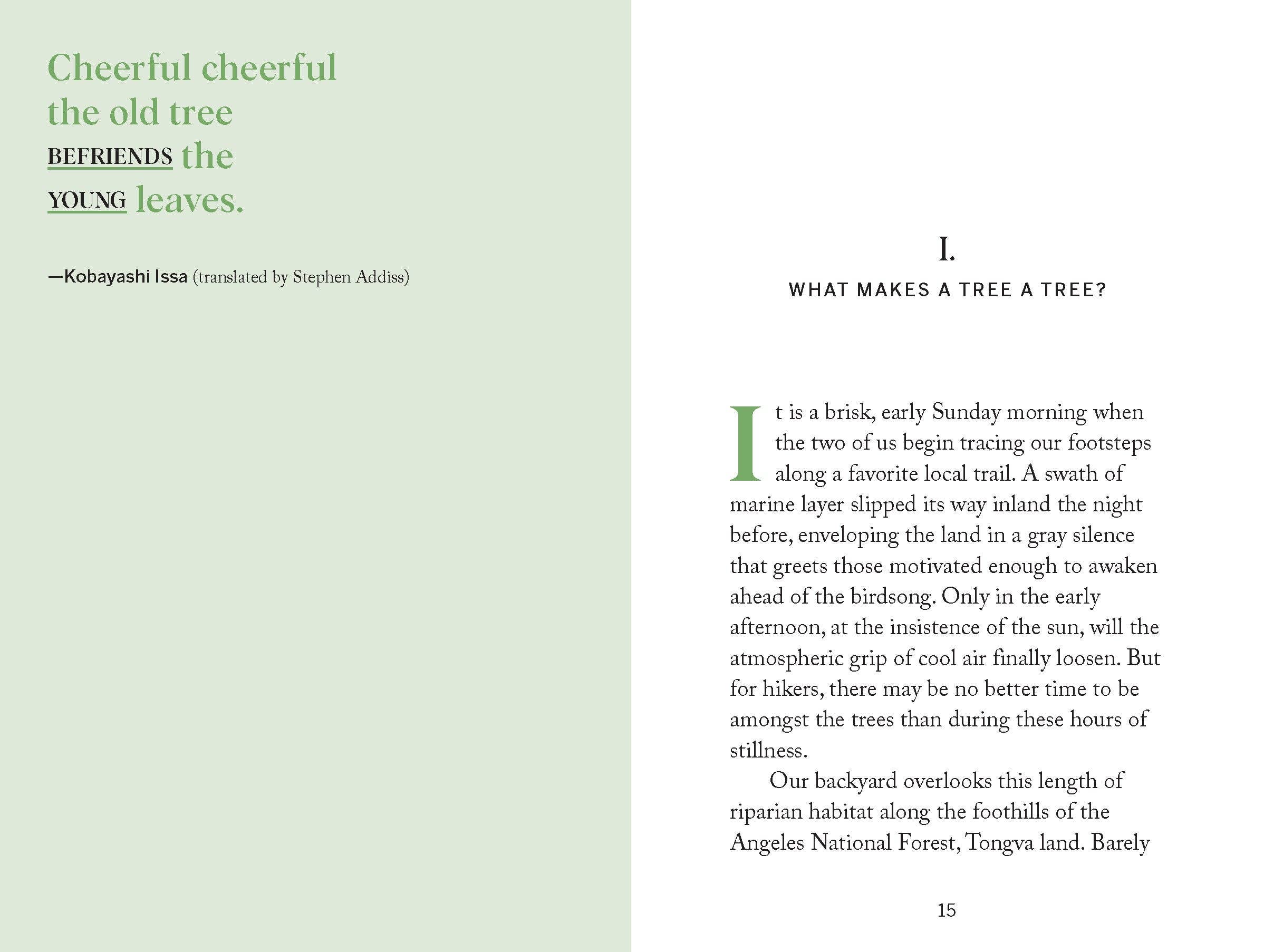 Pocket Nature: Tree Hugging