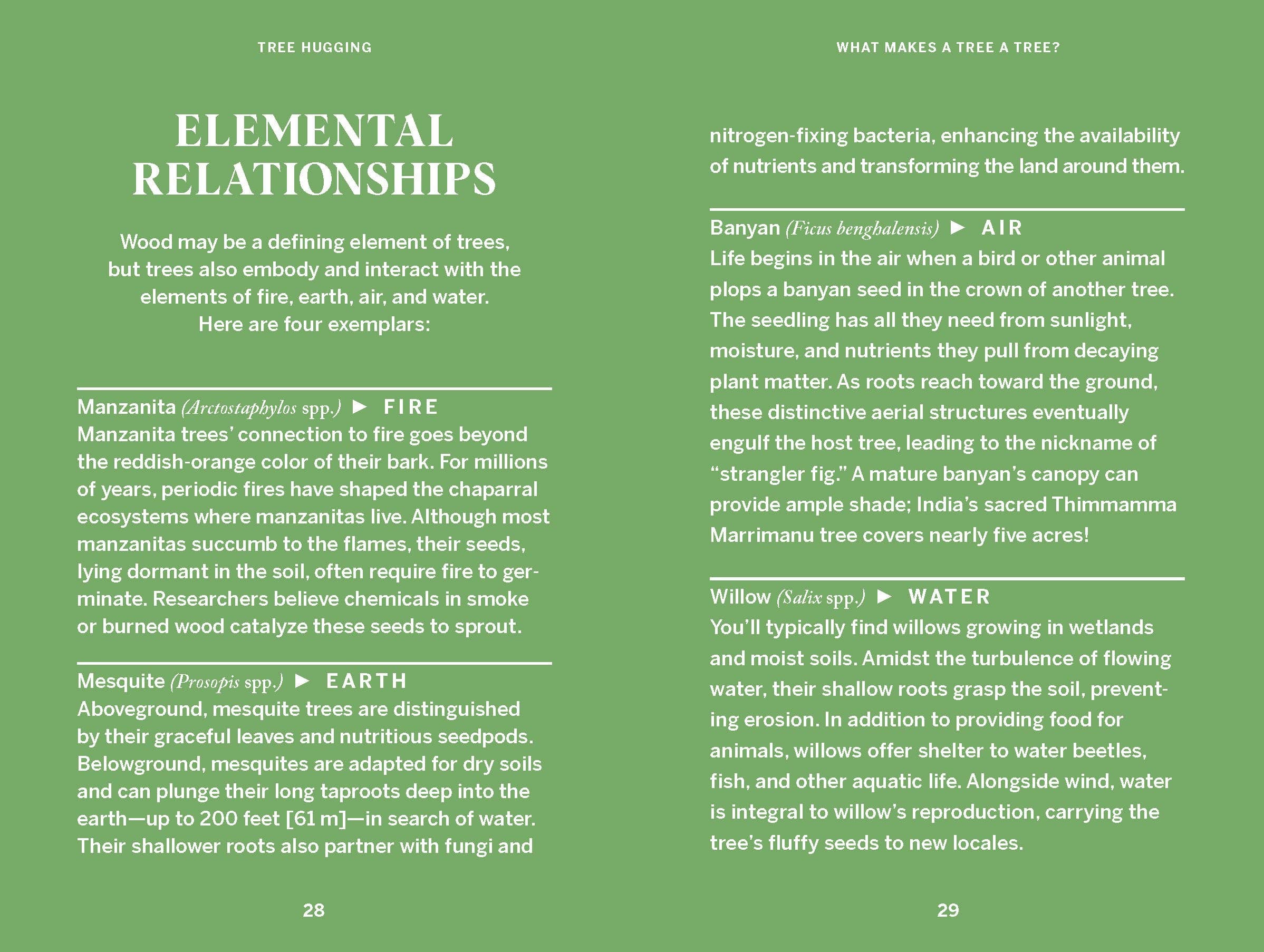 Pocket Nature: Tree Hugging