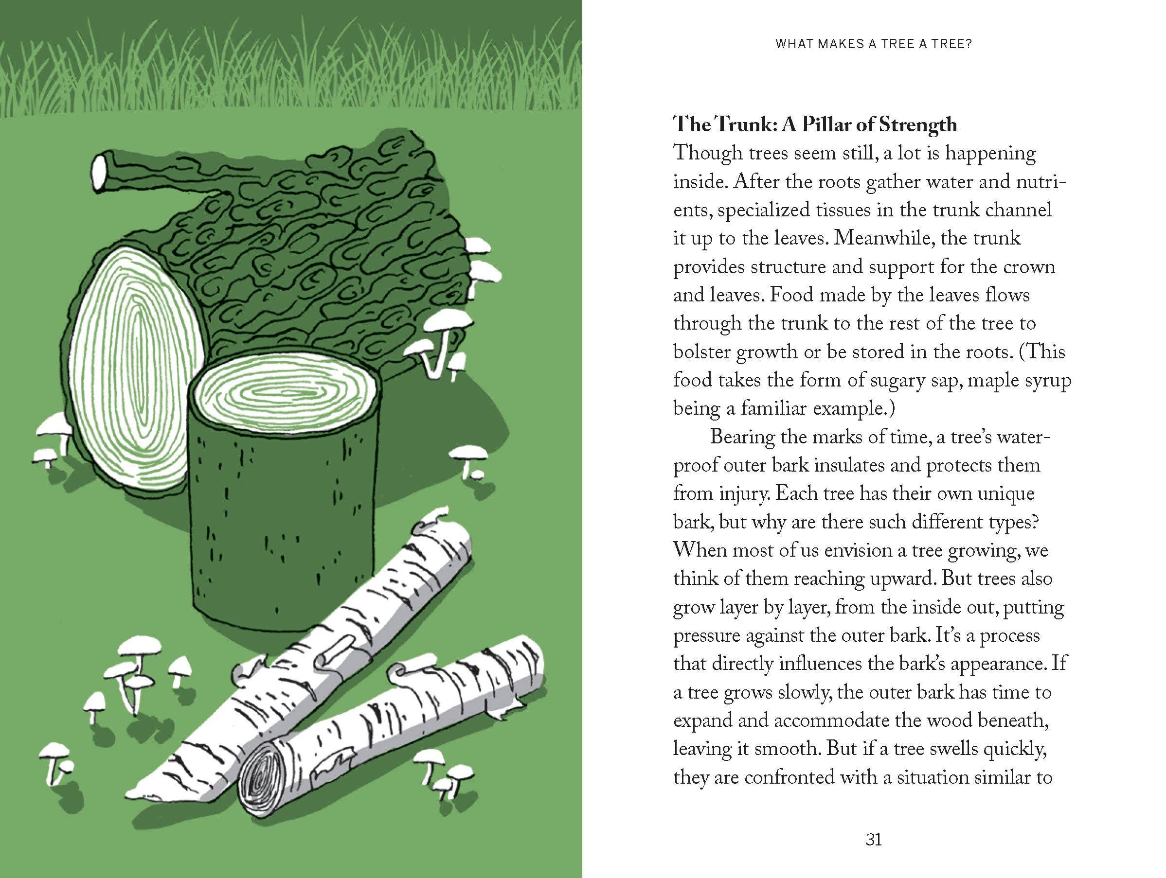 Pocket Nature: Tree Hugging