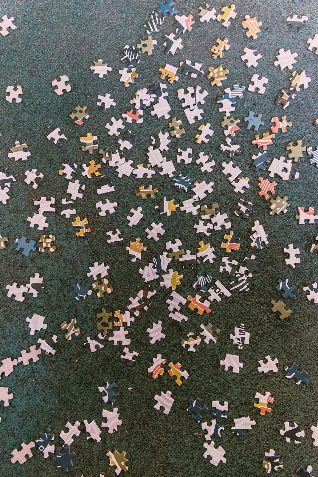 Michigan Fish Puzzle