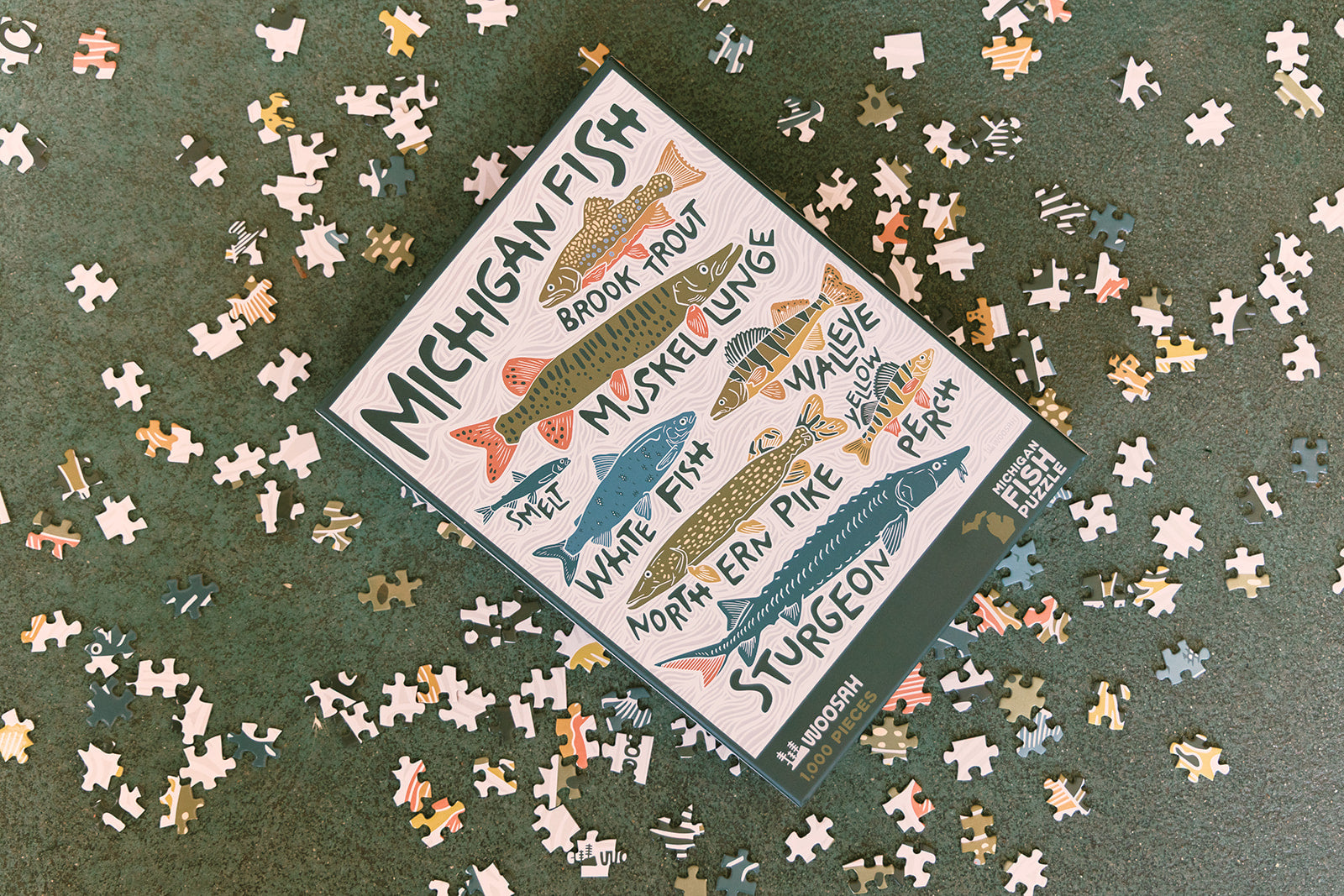 Michigan Fish Puzzle