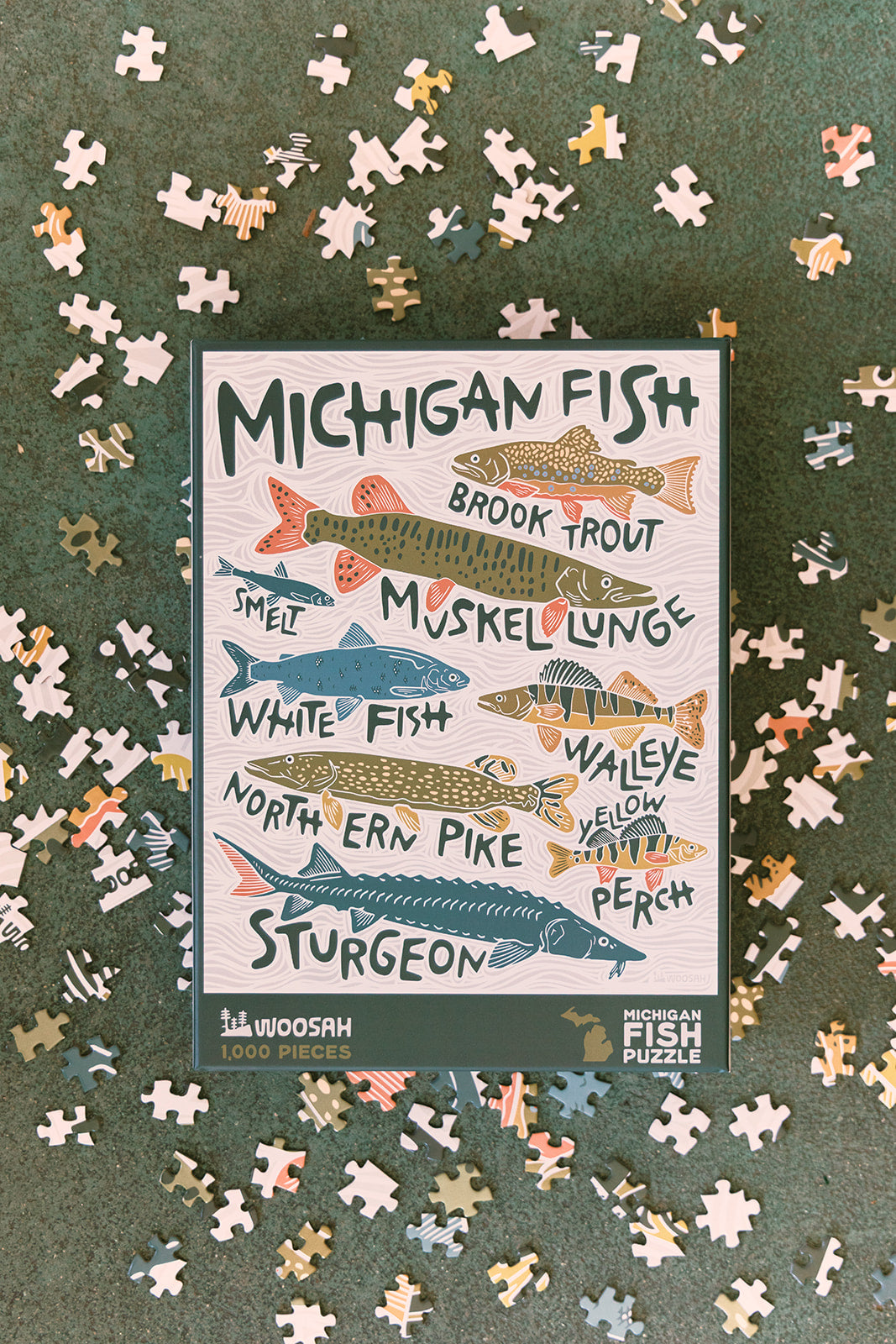 Michigan Fish Puzzle